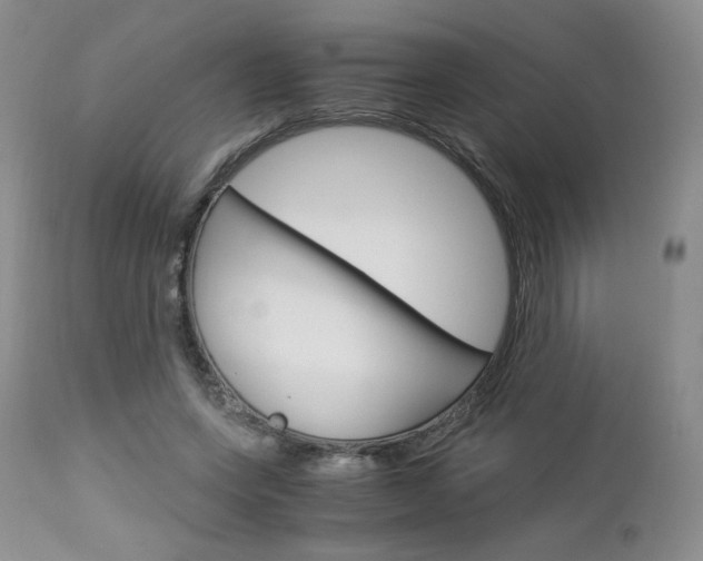 X0000113110543200908281020