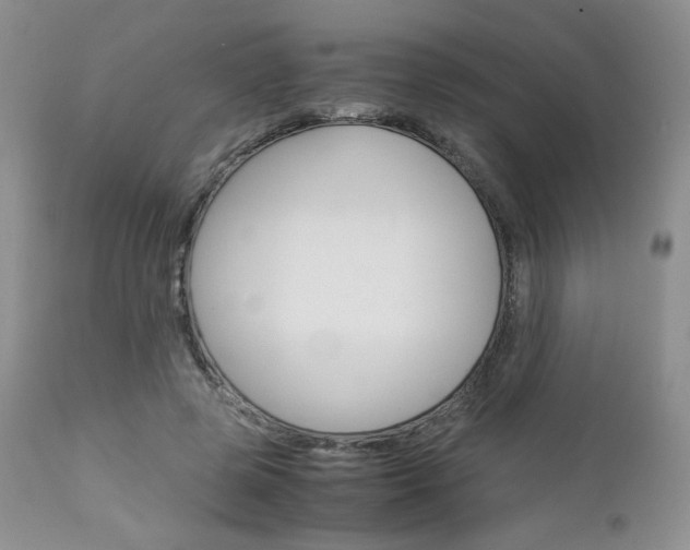 X0000113110545200908281020