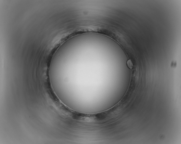X0000113110548200908281020