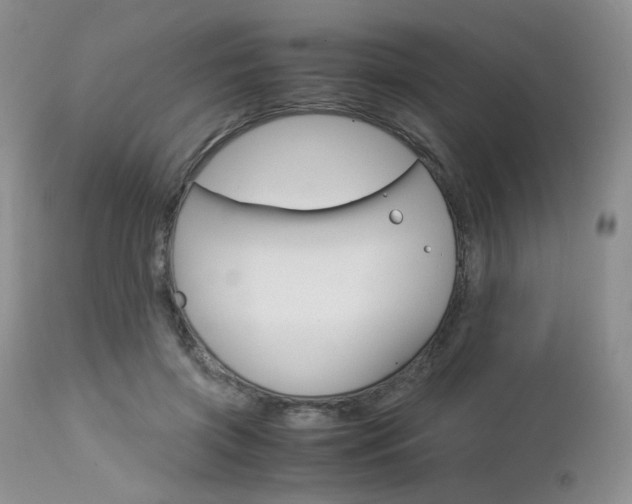 X0000113110549200908281020