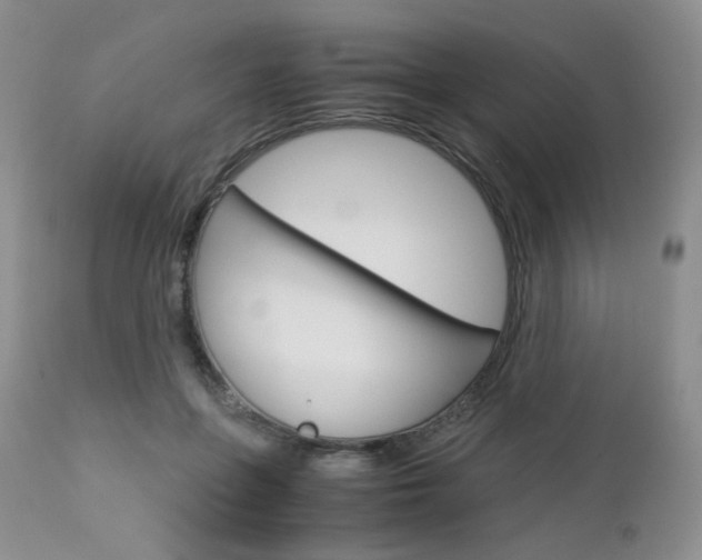 X0000113110551200908281020