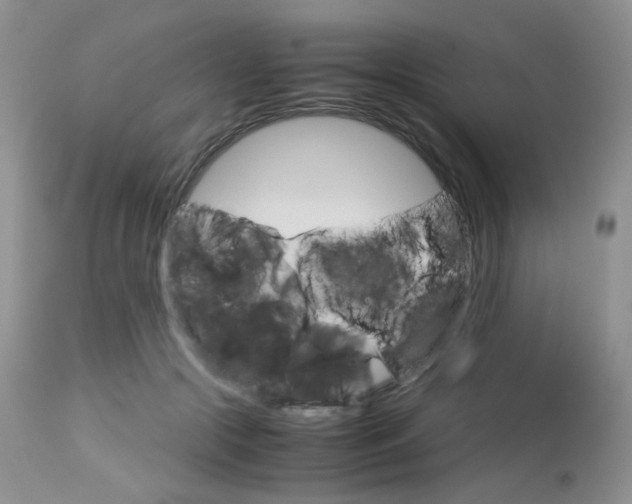 X0000113110553200908281020