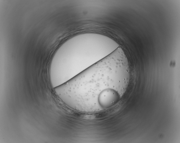X0000113110554200908281020