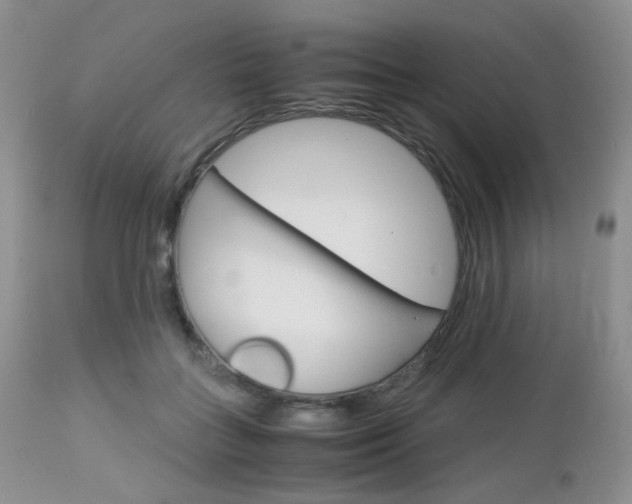 X0000113110555200908281020