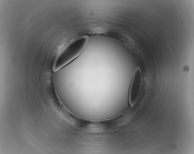 X0000113110556200908281020