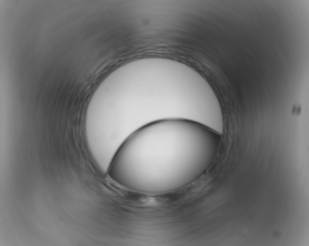 X0000113110558200908281020