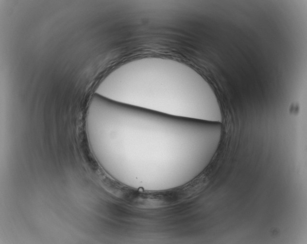 X0000113110559200908281020