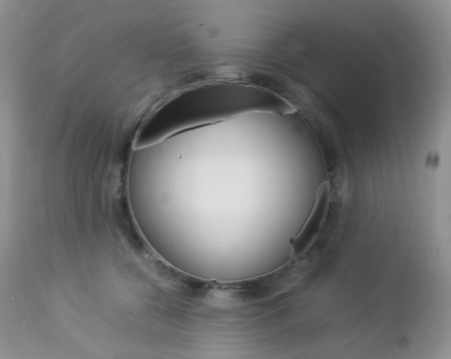 X0000113110560200908281020