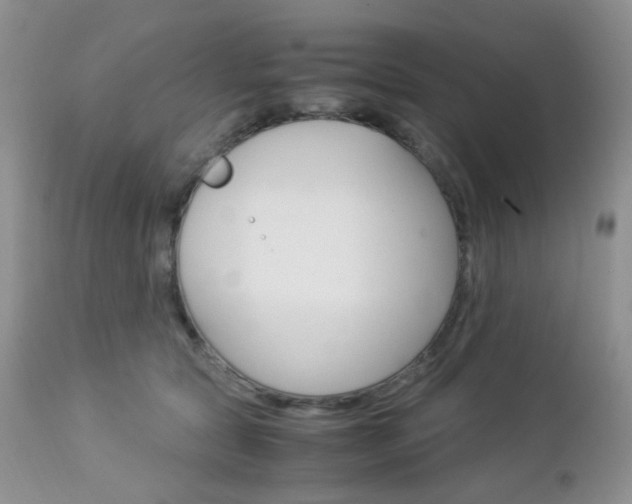 X0000113110561200908281020