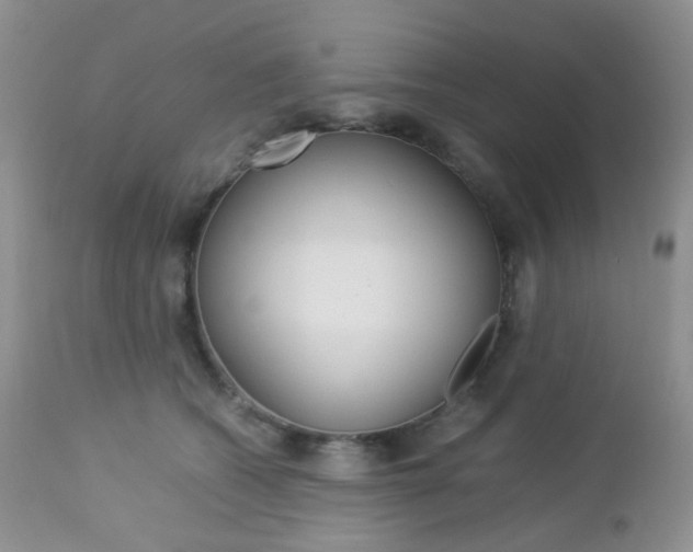 X0000113110562200908281020