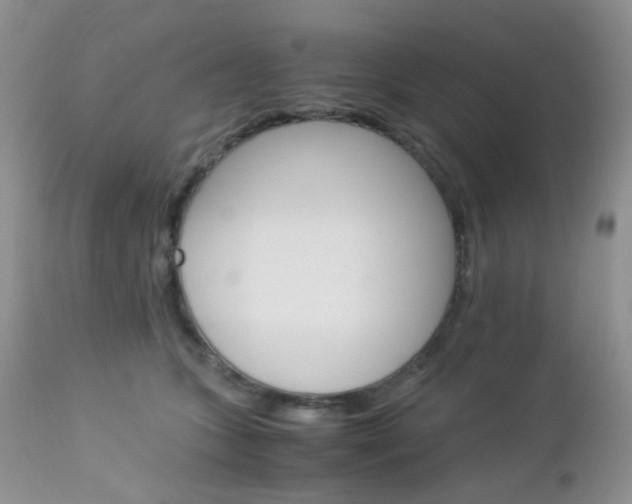 X0000113110563200908281020