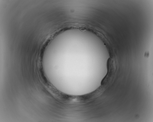 X0000113110564200908281020