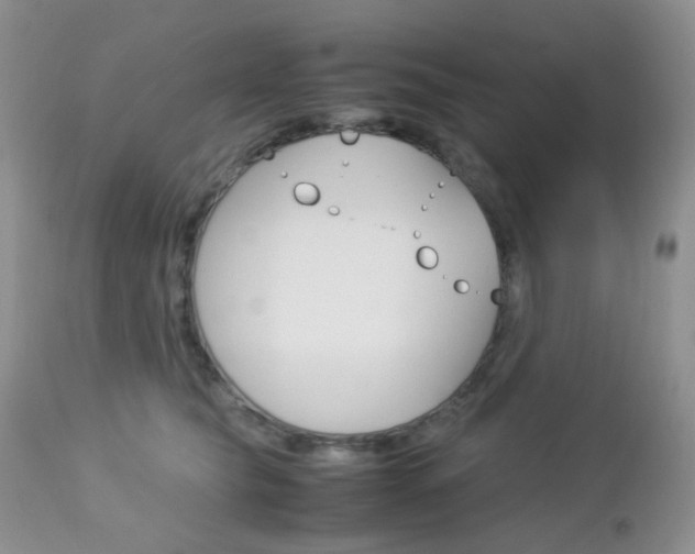 X0000113110565200908281020