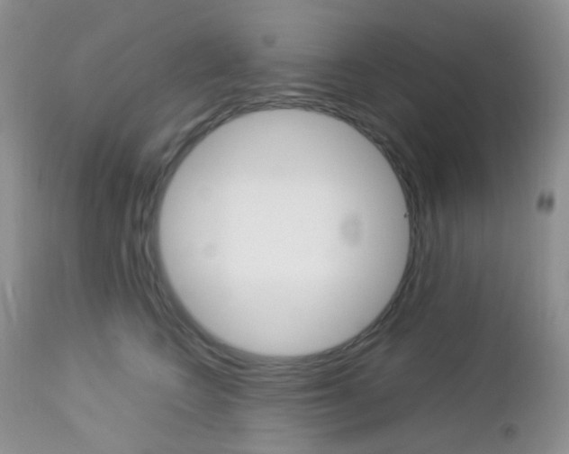 X0000113110566200908281020