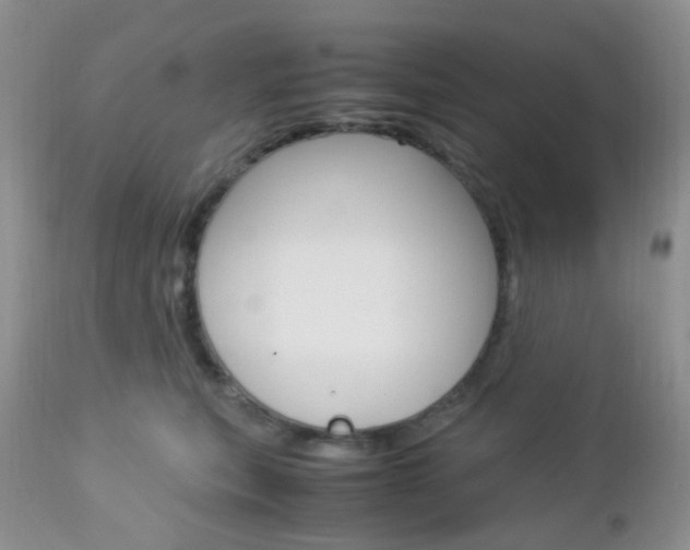X0000113110567200908281020
