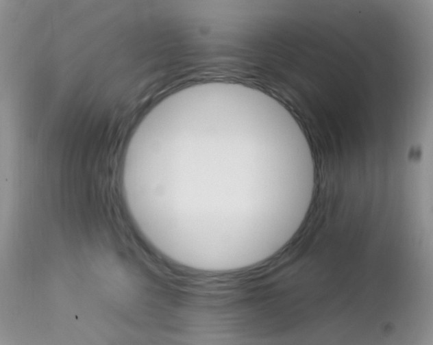 X0000113110568200908281020