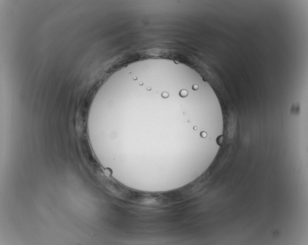 X0000113110569200908281020