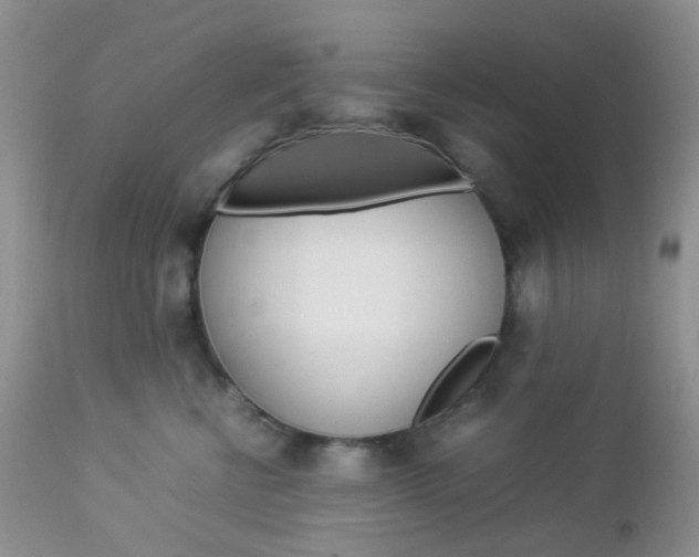 X0000113110570200908281021