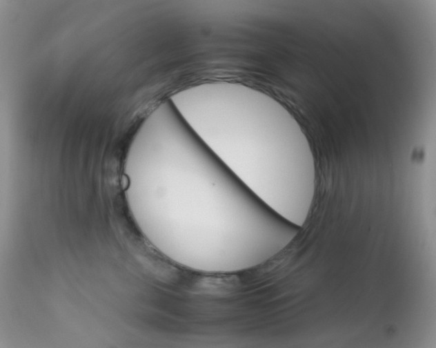X0000113110571200908281021