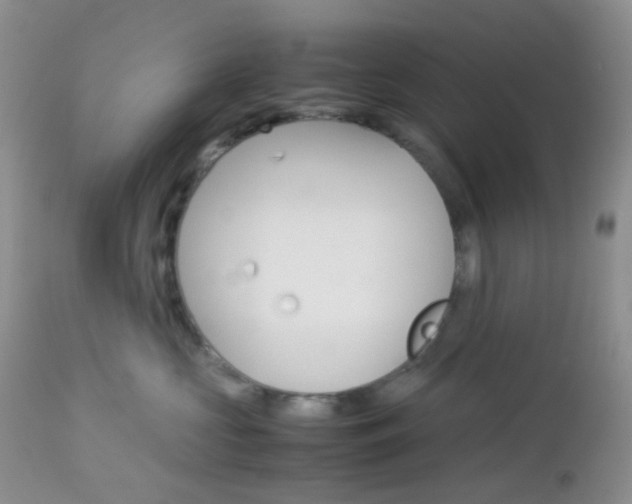 X0000113110573200908281021