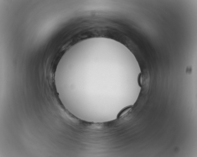 X0000113110574200908281021