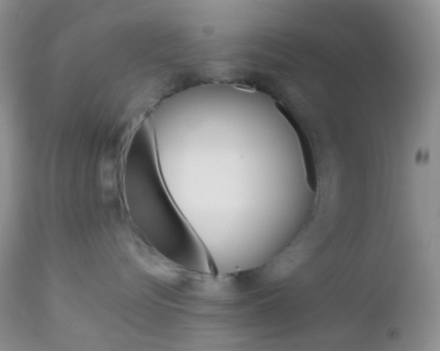 X0000113110576200908281021