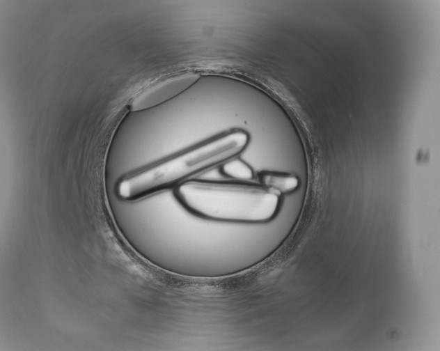 X0000113110577200908281020