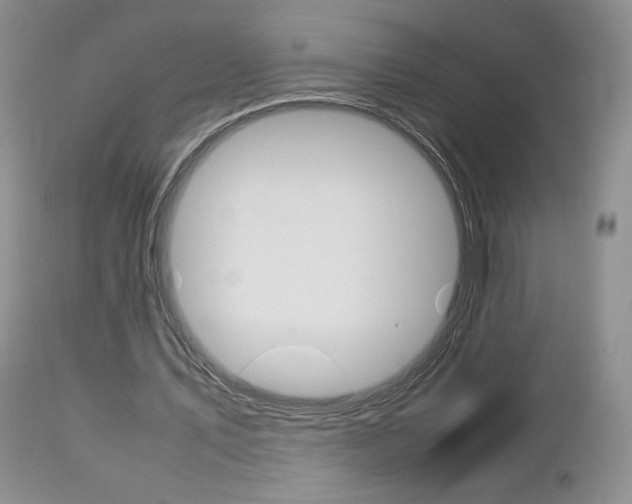 X0000113110579200908281020