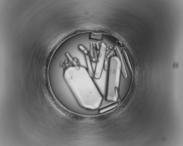 X0000113110581200908281020