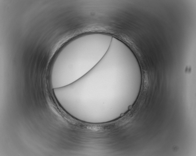 X0000113110582200908281020