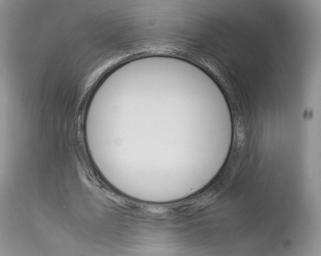 X0000113110583200908281020