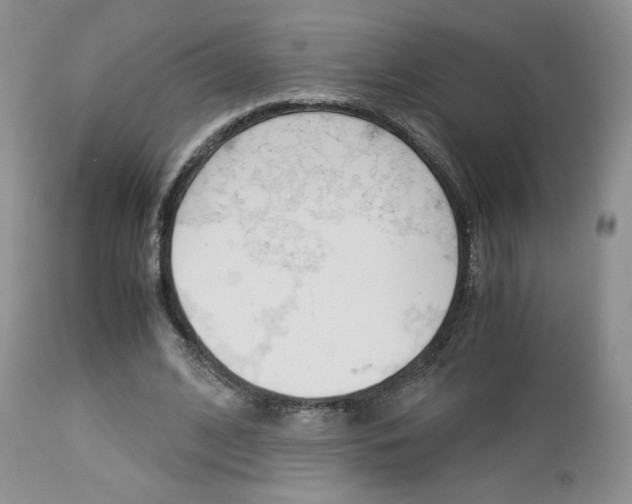 X0000113110584200908281020