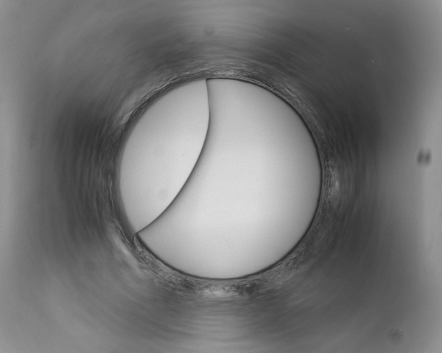 X0000113110586200908281020