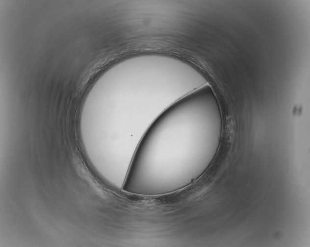 X0000113110589200908281020