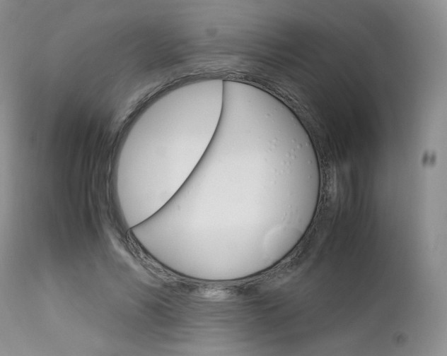 X0000113110590200908281020