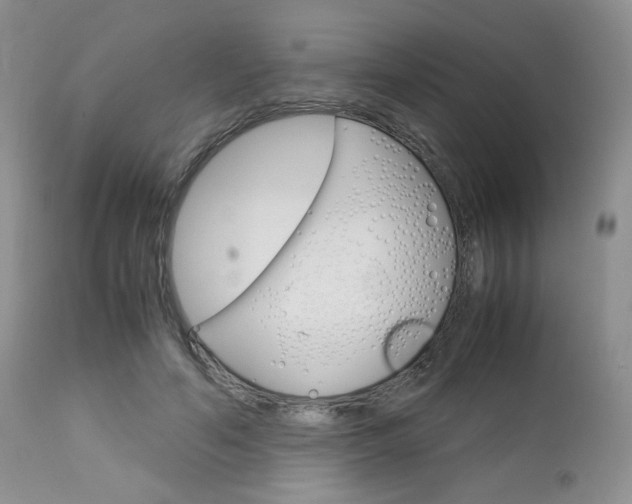 X0000113110594200908281020
