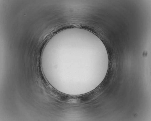 X0000113110595200908281020