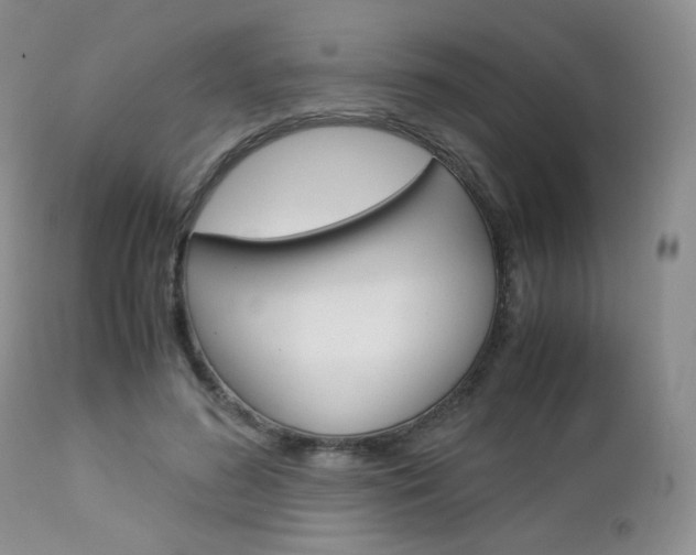 X0000113110596200908281020