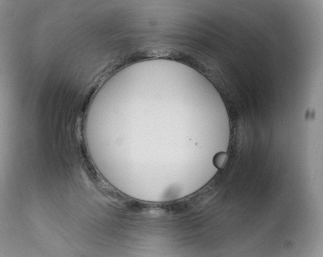 X0000113110598200908281020