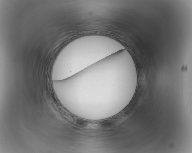 X0000113110599200908281020