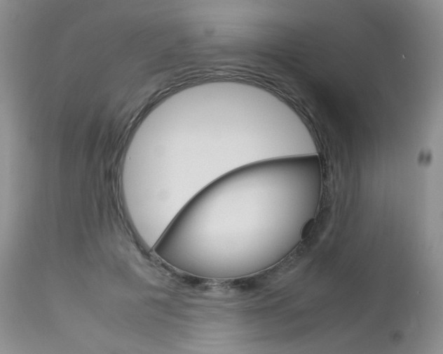 X0000113110601200908281020