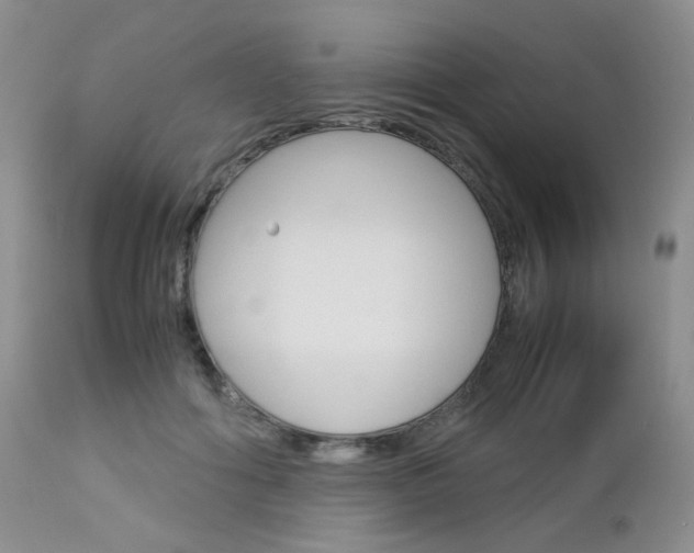 X0000113110602200908281020