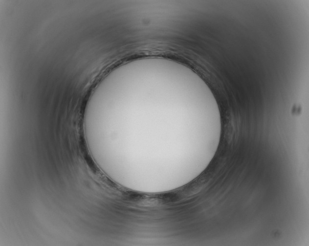 X0000113110604200908281020