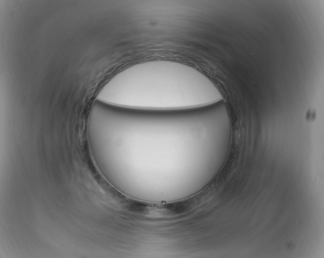 X0000113110605200908281020