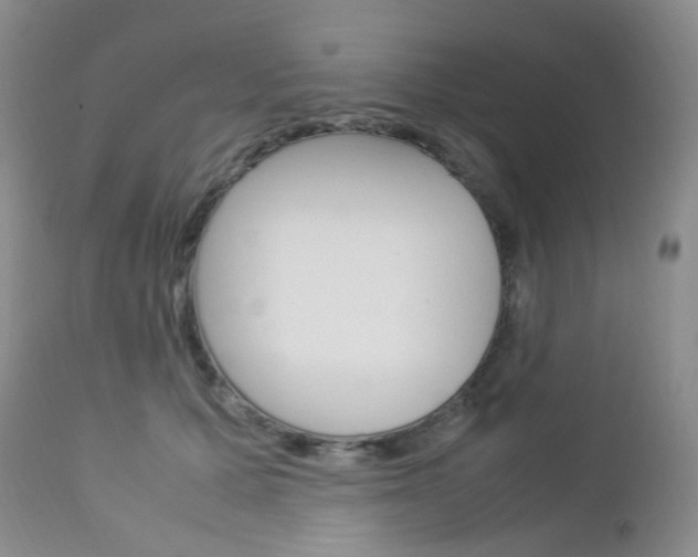 X0000113110607200908281020