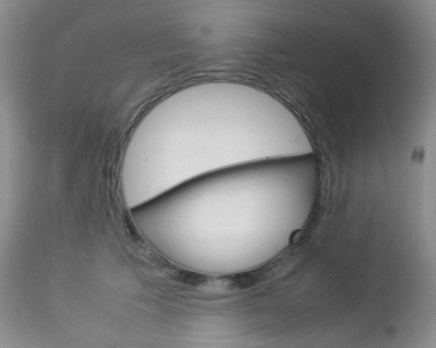 X0000113110609200908281019
