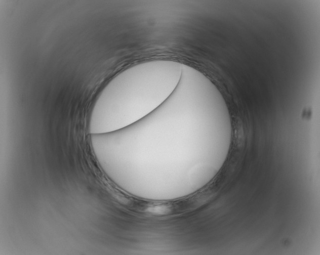X0000113110610200908281019