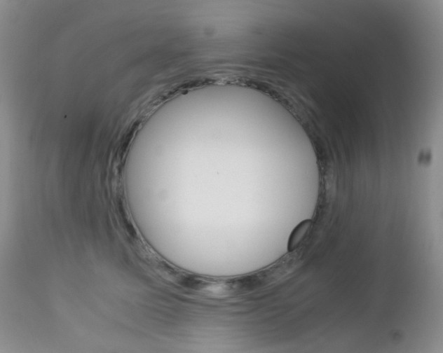 X0000113110611200908281019