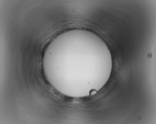 X0000113110612200908281019