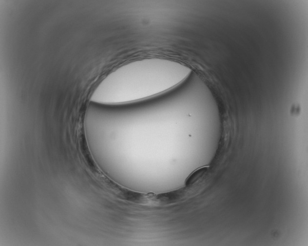 X0000113110613200908281019